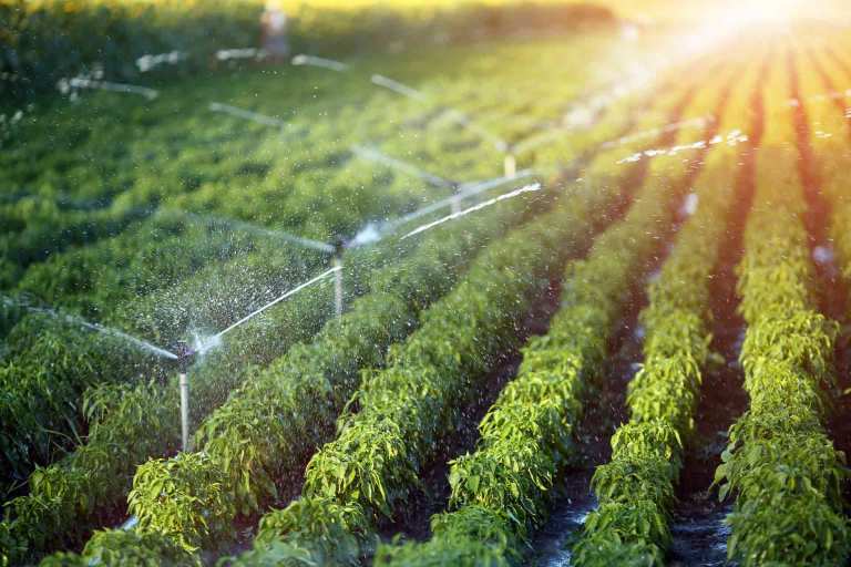 irrigation systems
